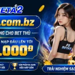 f8beta2-banner-4