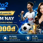 f8beta2-banner-5