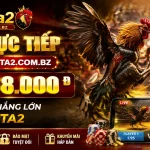 f8beta2-livecasino-banner-1