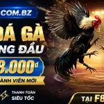 f8beta2-livecasino-banner-2
