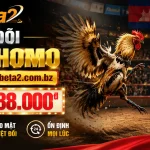 f8beta2-livecasino-banner-3